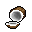  coconut