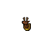  deer trophy